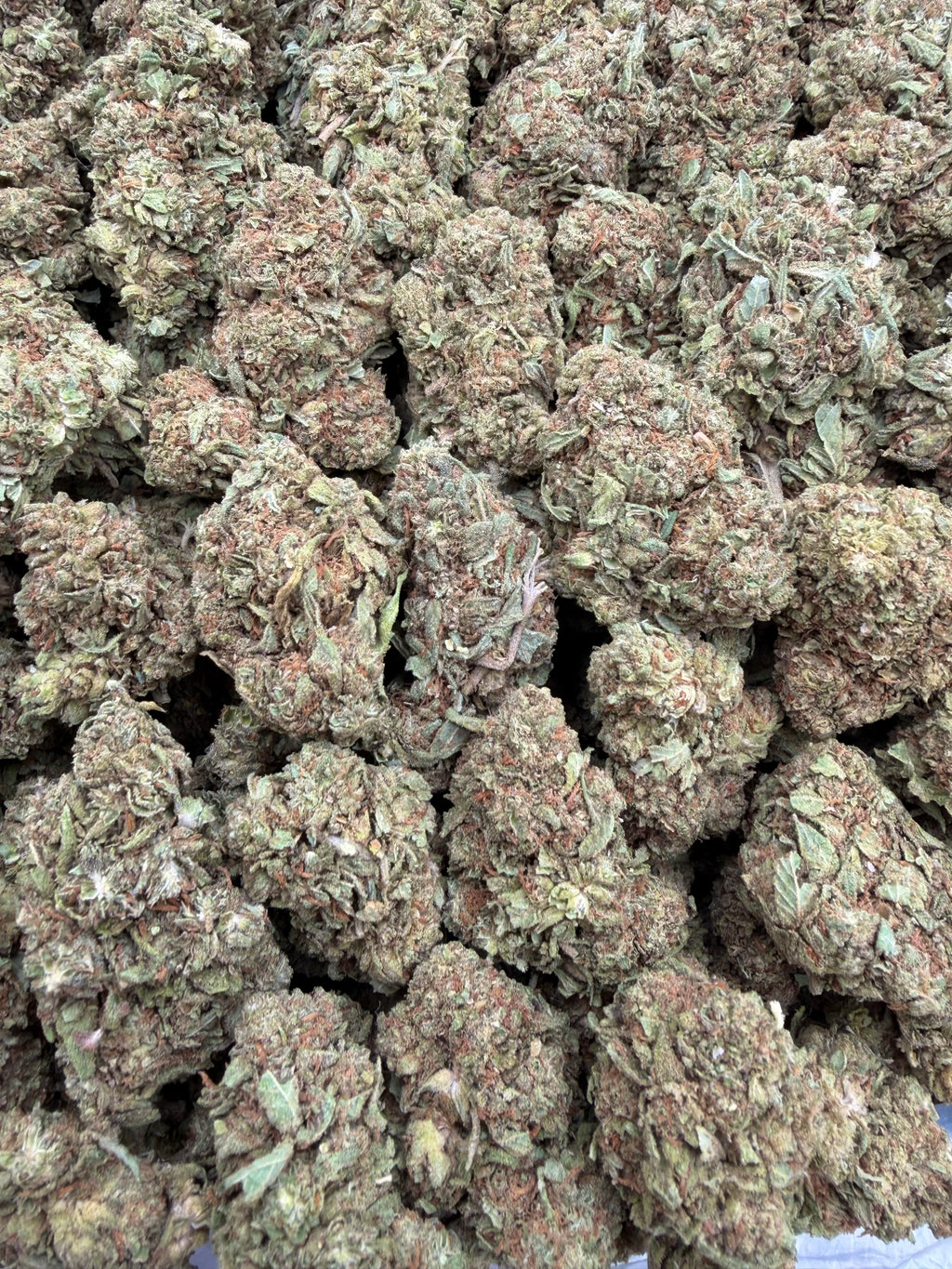 White Walker Kush - 16oz