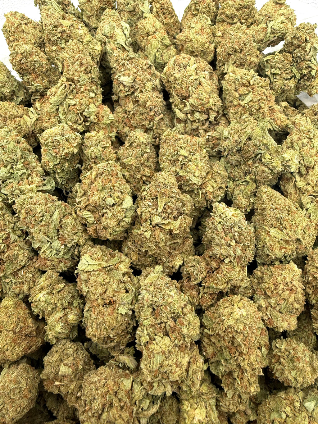 Gelato King - 16oz