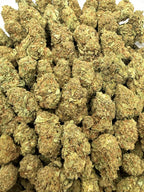 Gelato King - 16oz