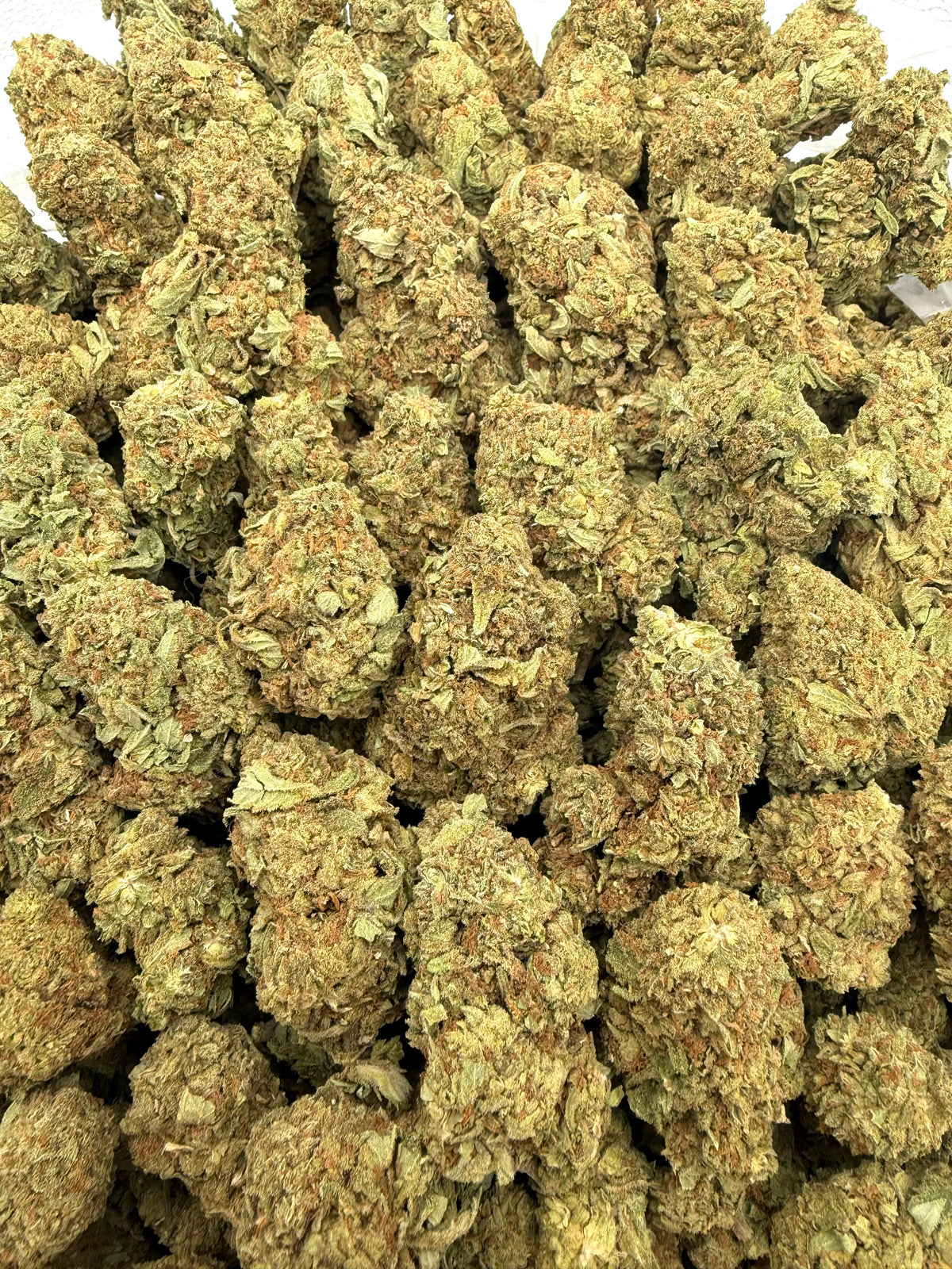 Gelato King - 16oz