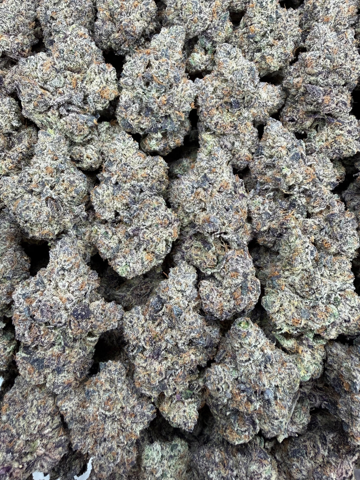Zebra Fuel - 7G