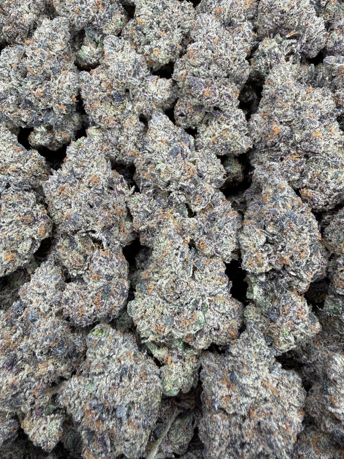 Zebra Fuel - 7G