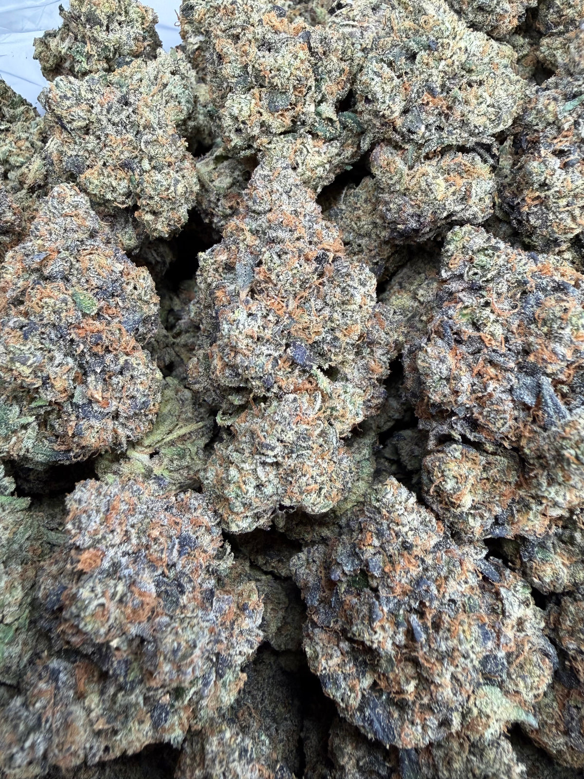 Peanut Butter Bacio Gelato - 7G