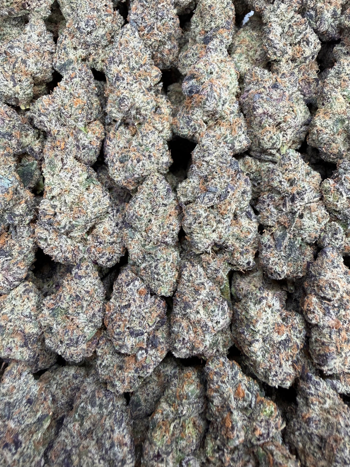 Galactic Runtz 16oz
