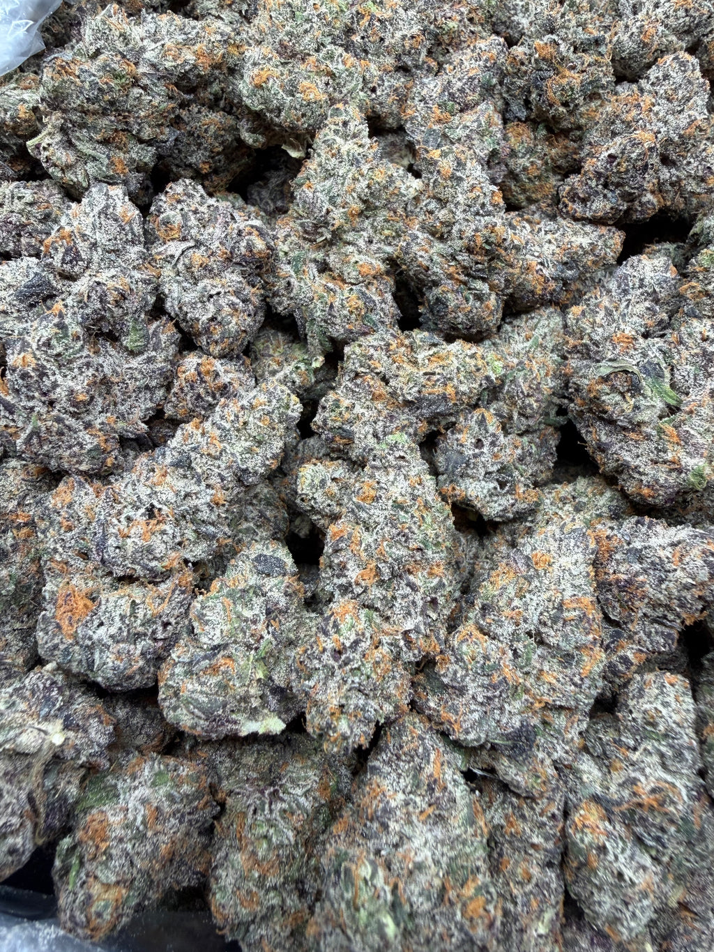 RS-11 - 2oz