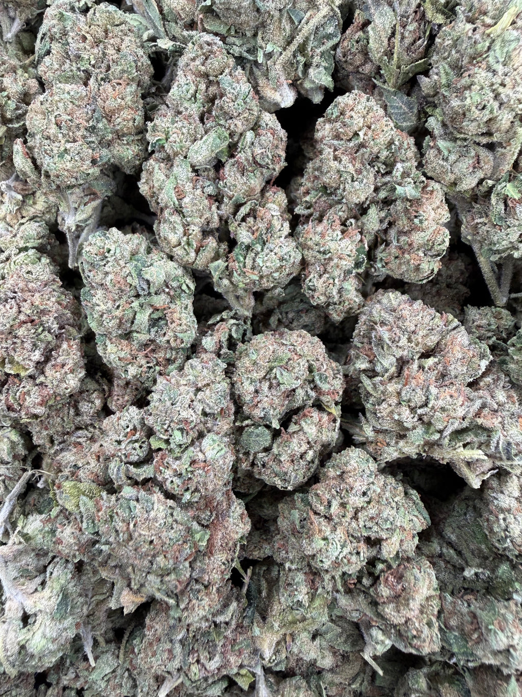 Lemon Cherry Runtz 16oz