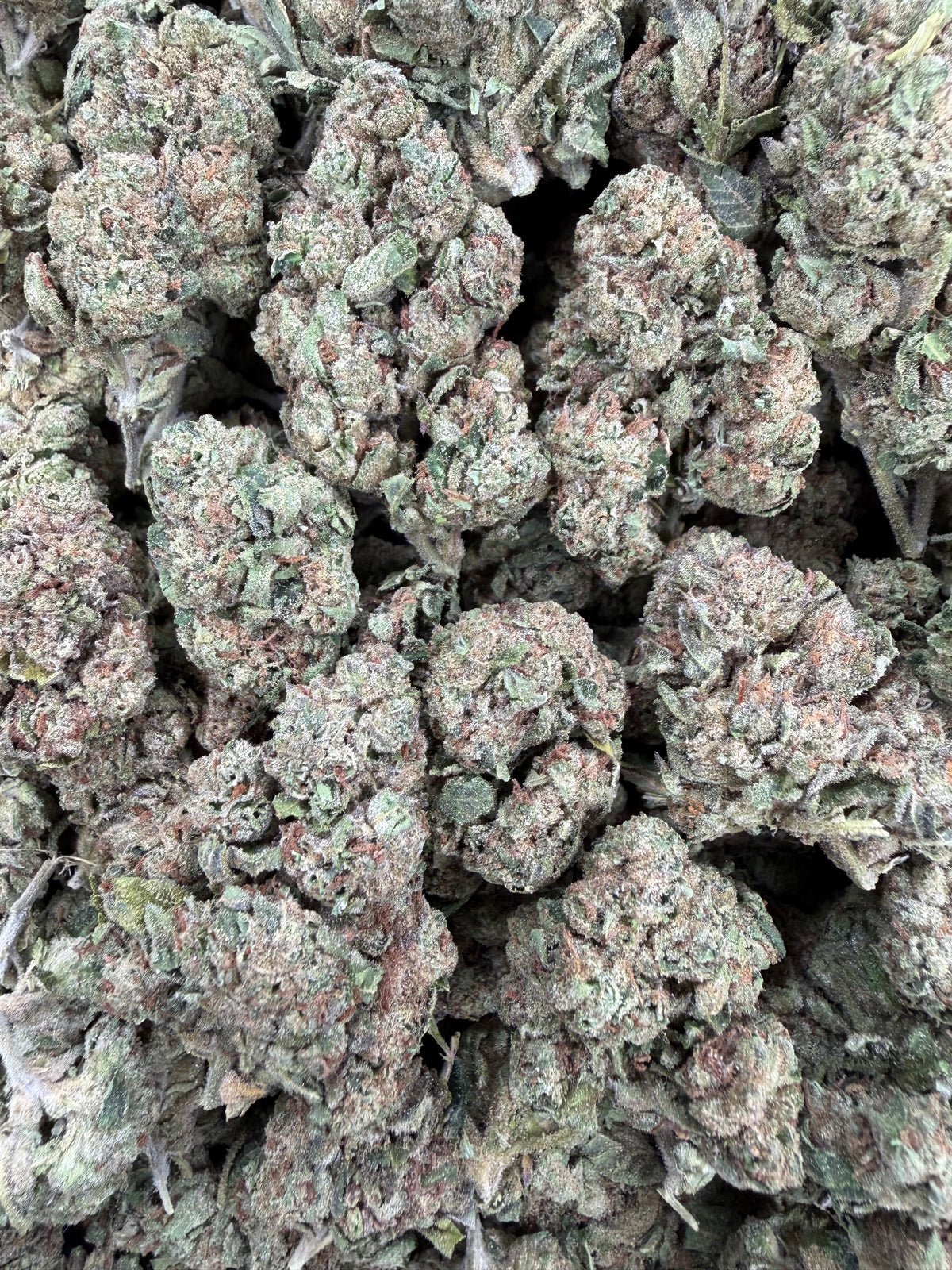Lemon Cherry Runtz - 28G