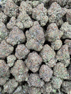 Gelato Ice 16oz