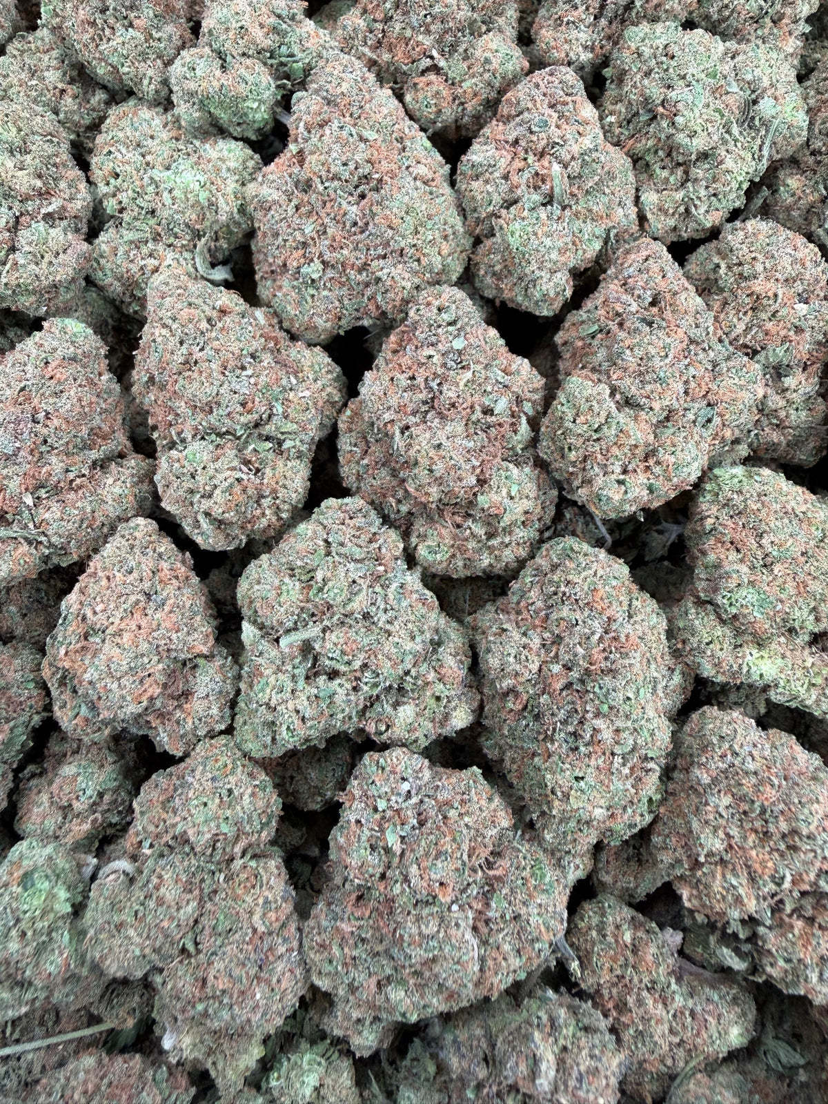 Gelato 47 (Room 1) 16oz