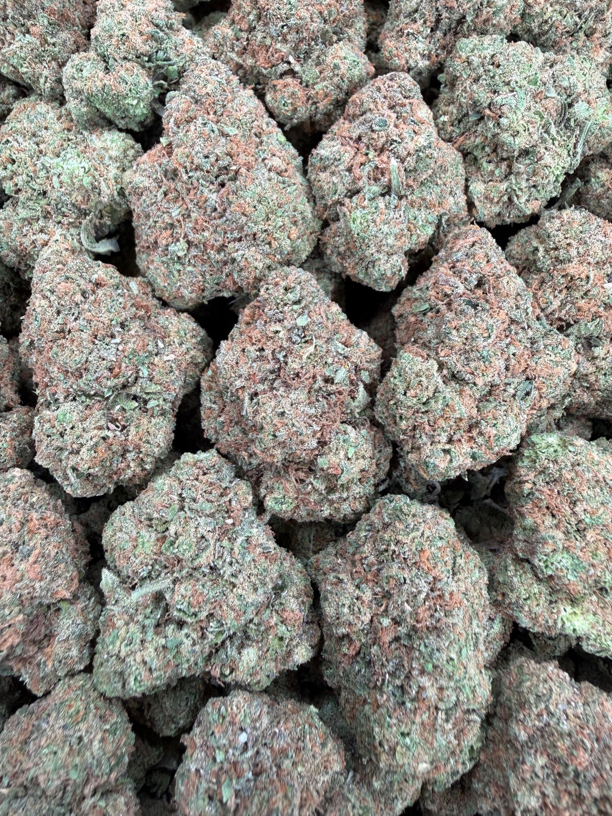 Gelato 47 (Room 1) 16oz