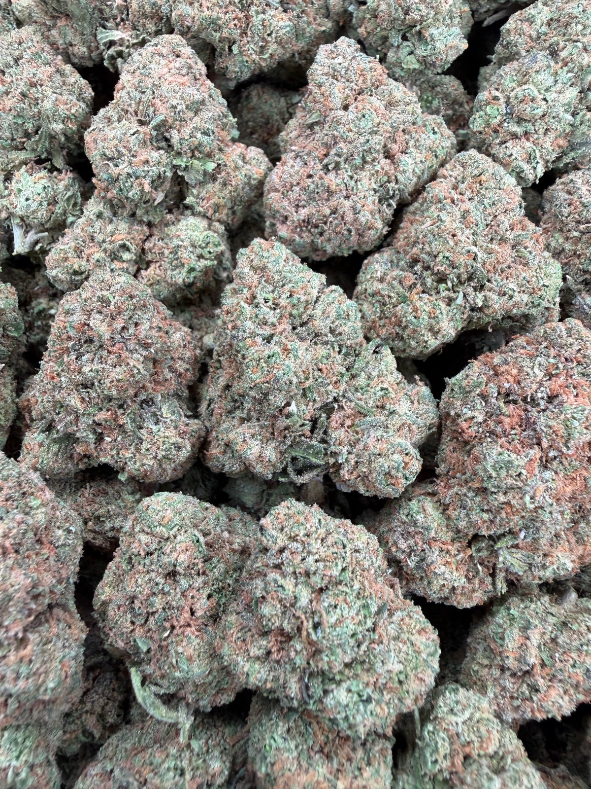 Gelato 47 (Room 2) 16oz