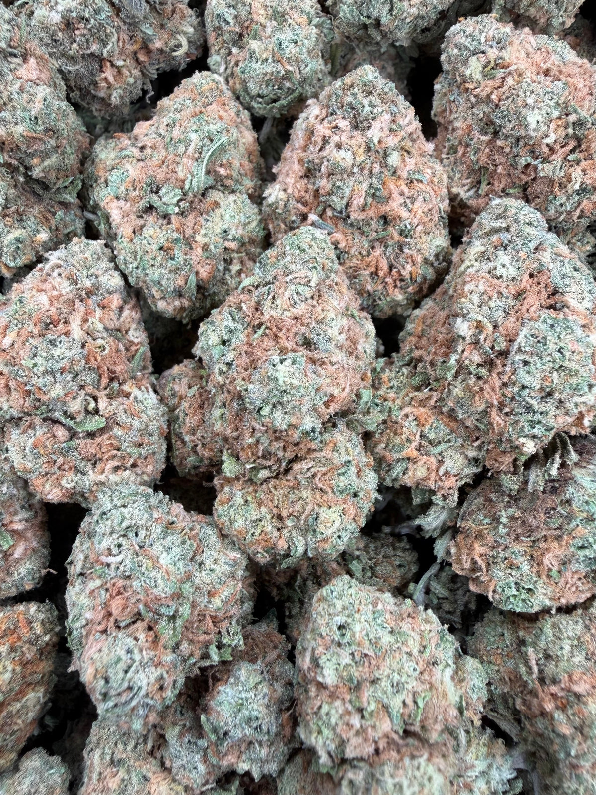 Mango Gelato 16oz