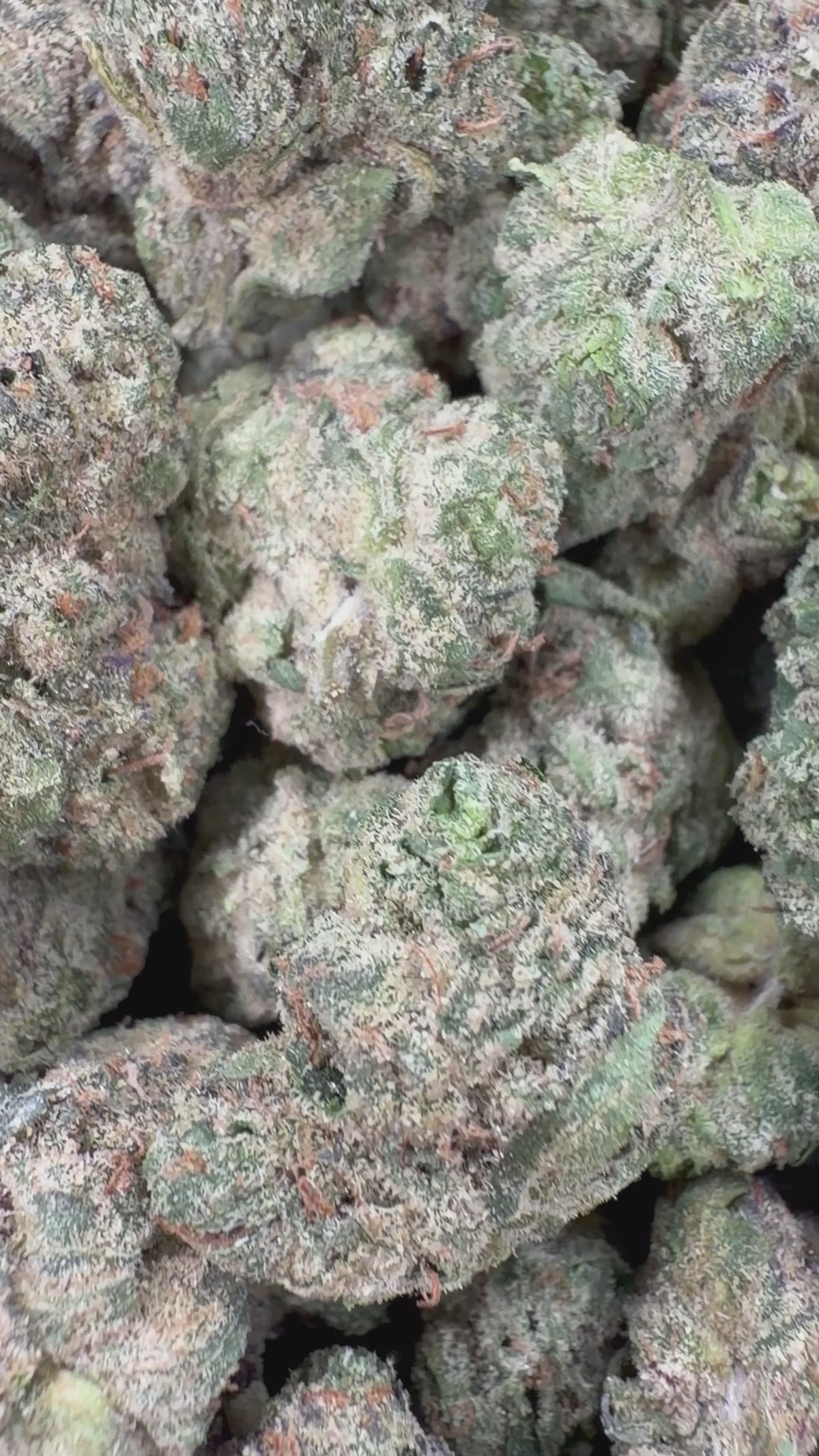 Gassy Toad x BA 2oz
