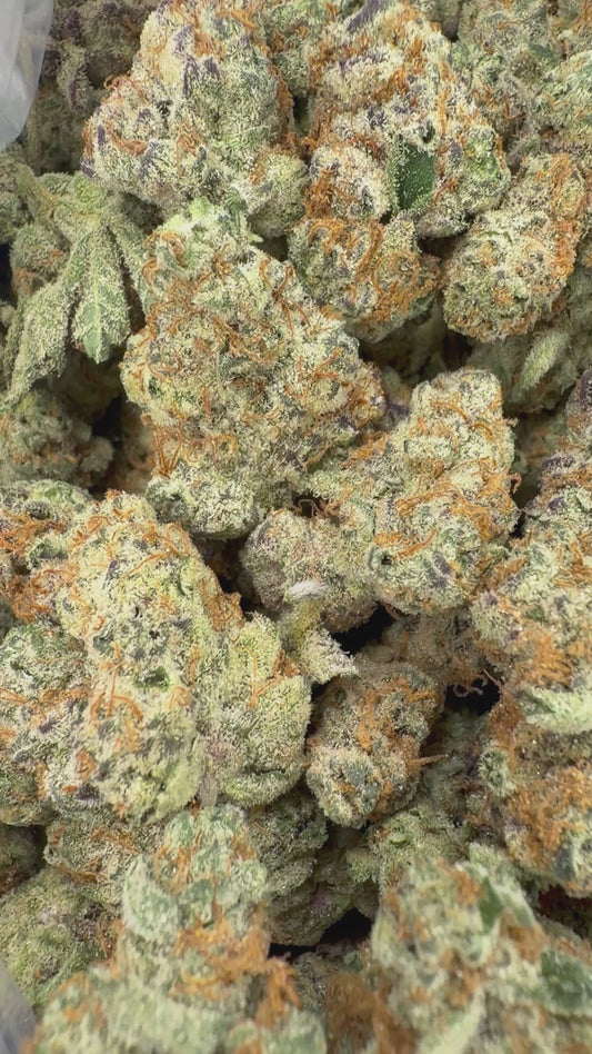 Garlicane SM/MD - 16oz