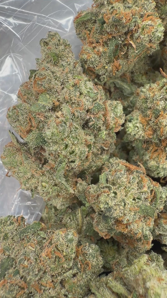 Jack Herer - 7g