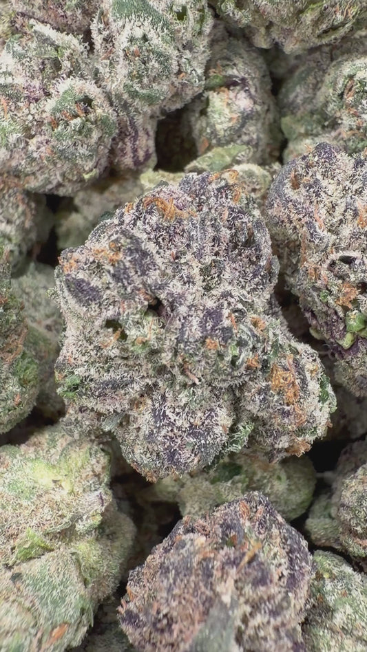 Gelato Runtz - 16oz