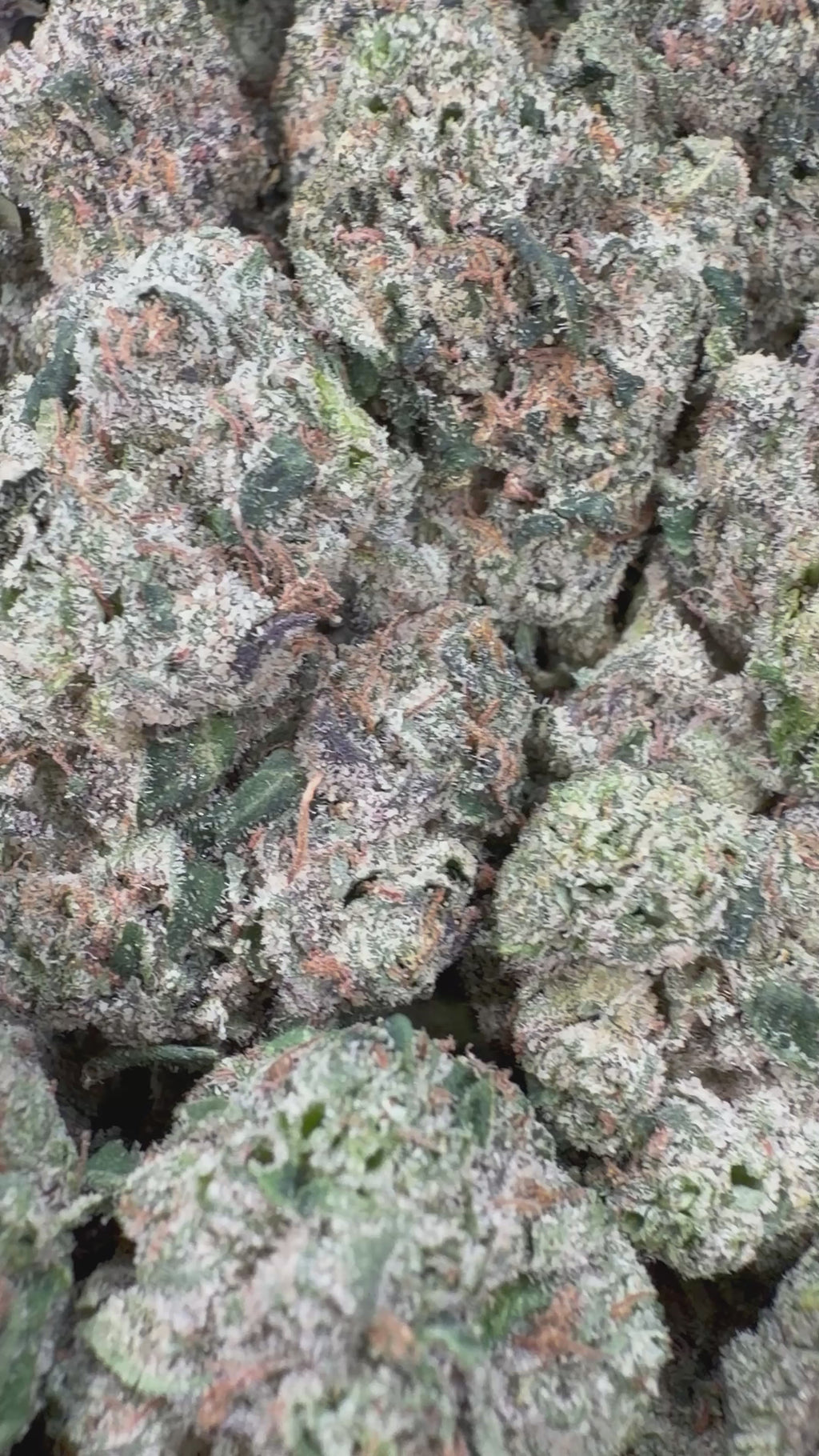 Blue Andeze - 7g