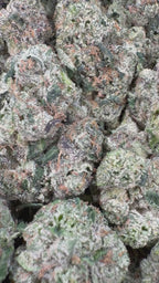 Blue Andeze - 7g