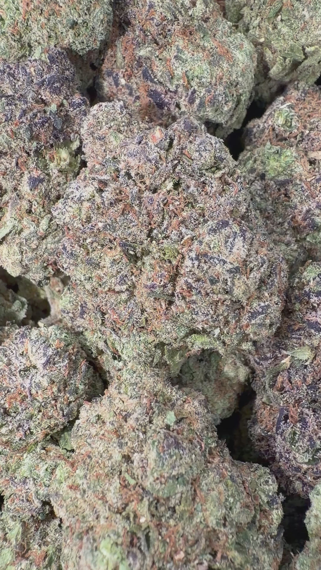 Blue Nerds - 4oz