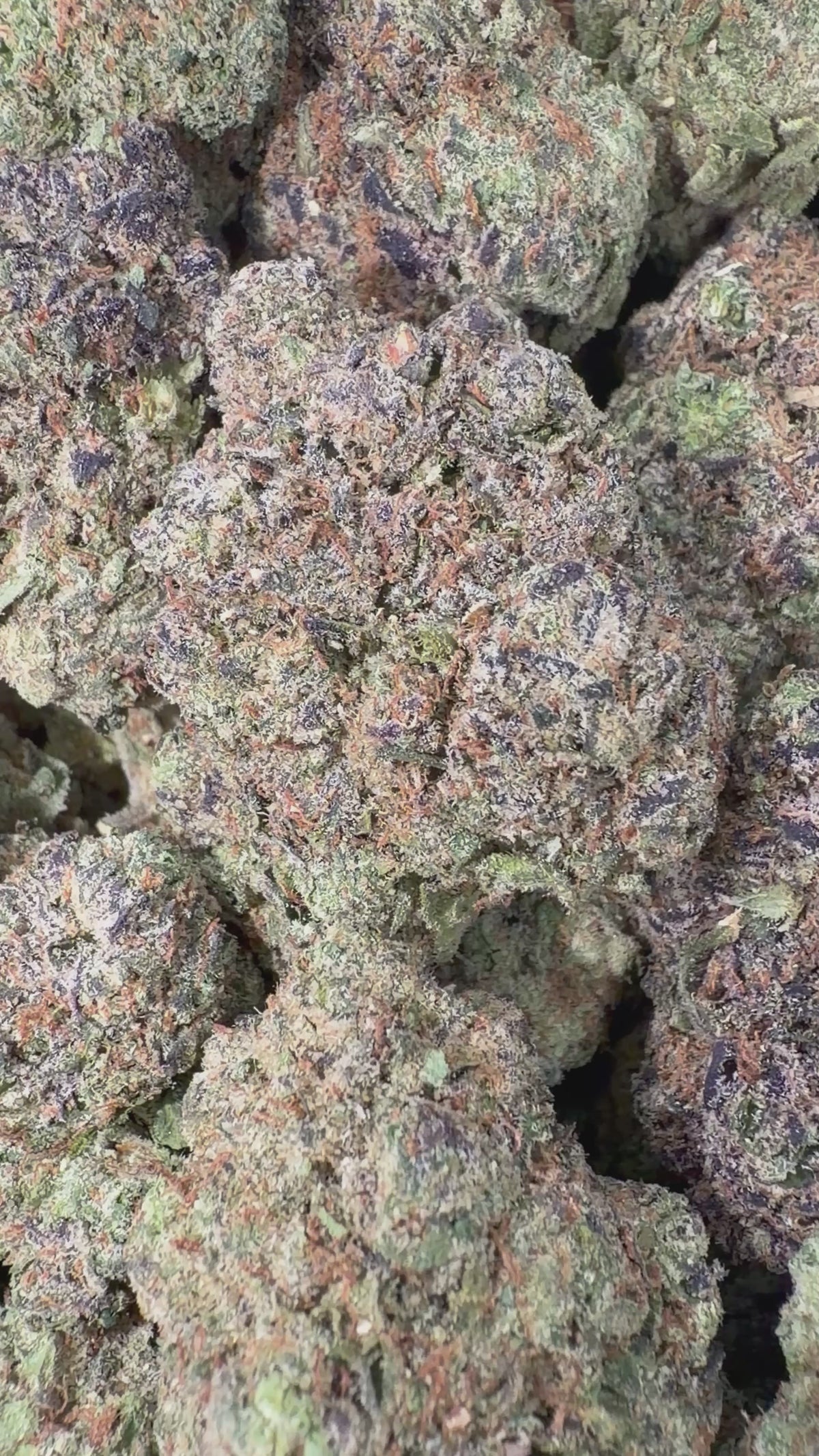 Blue Nerds - 4oz