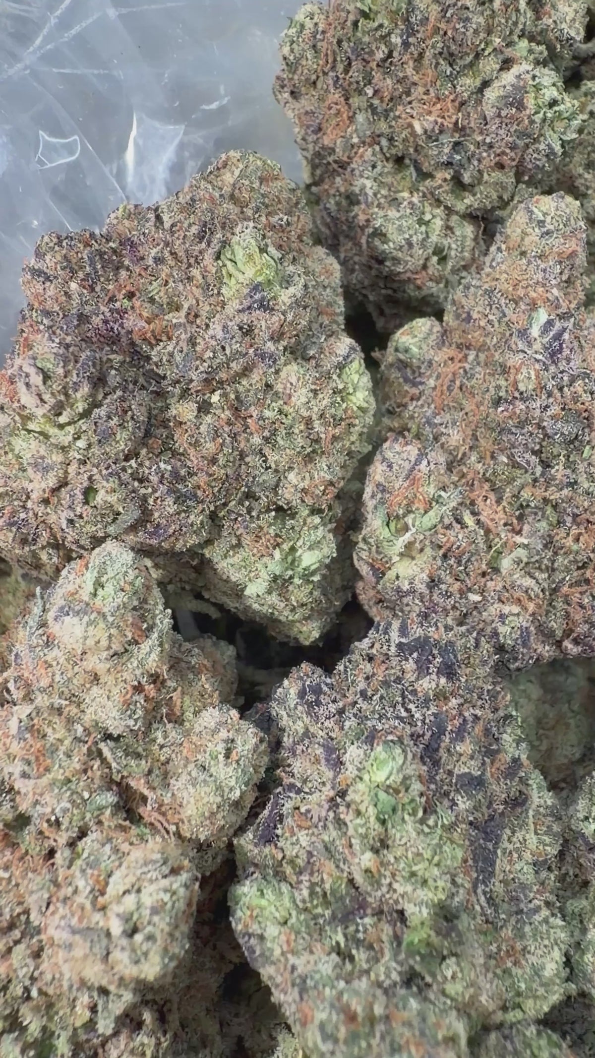 Sunset Sherbet - 16oz