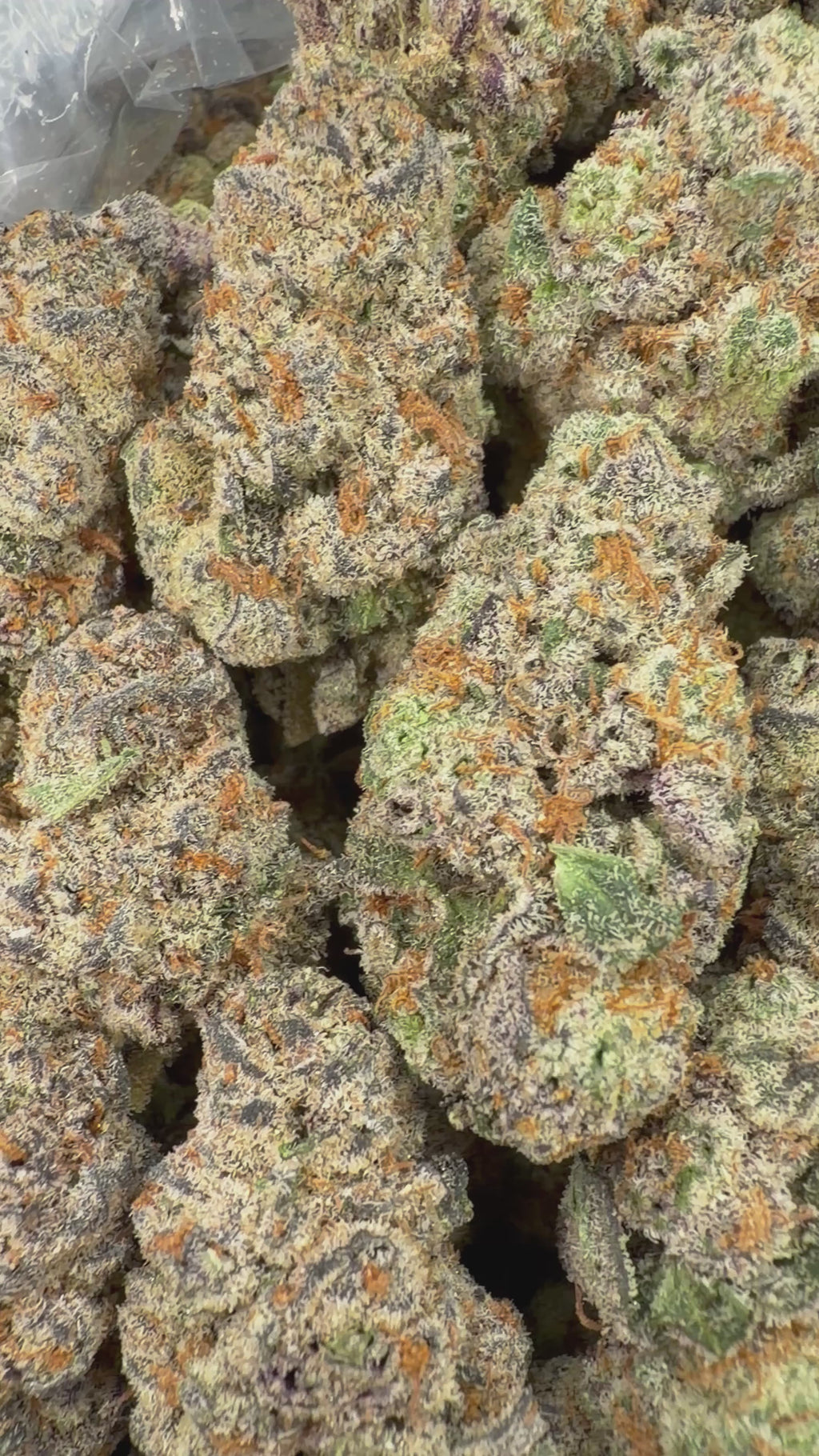 Glitter Bomb - 16oz