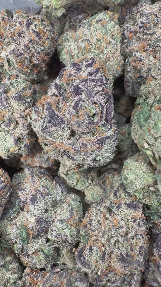 Bubblegum Gelato - 16oz