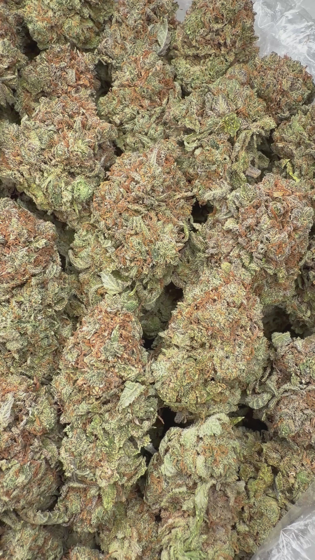 Platinum Bubba - 16oz