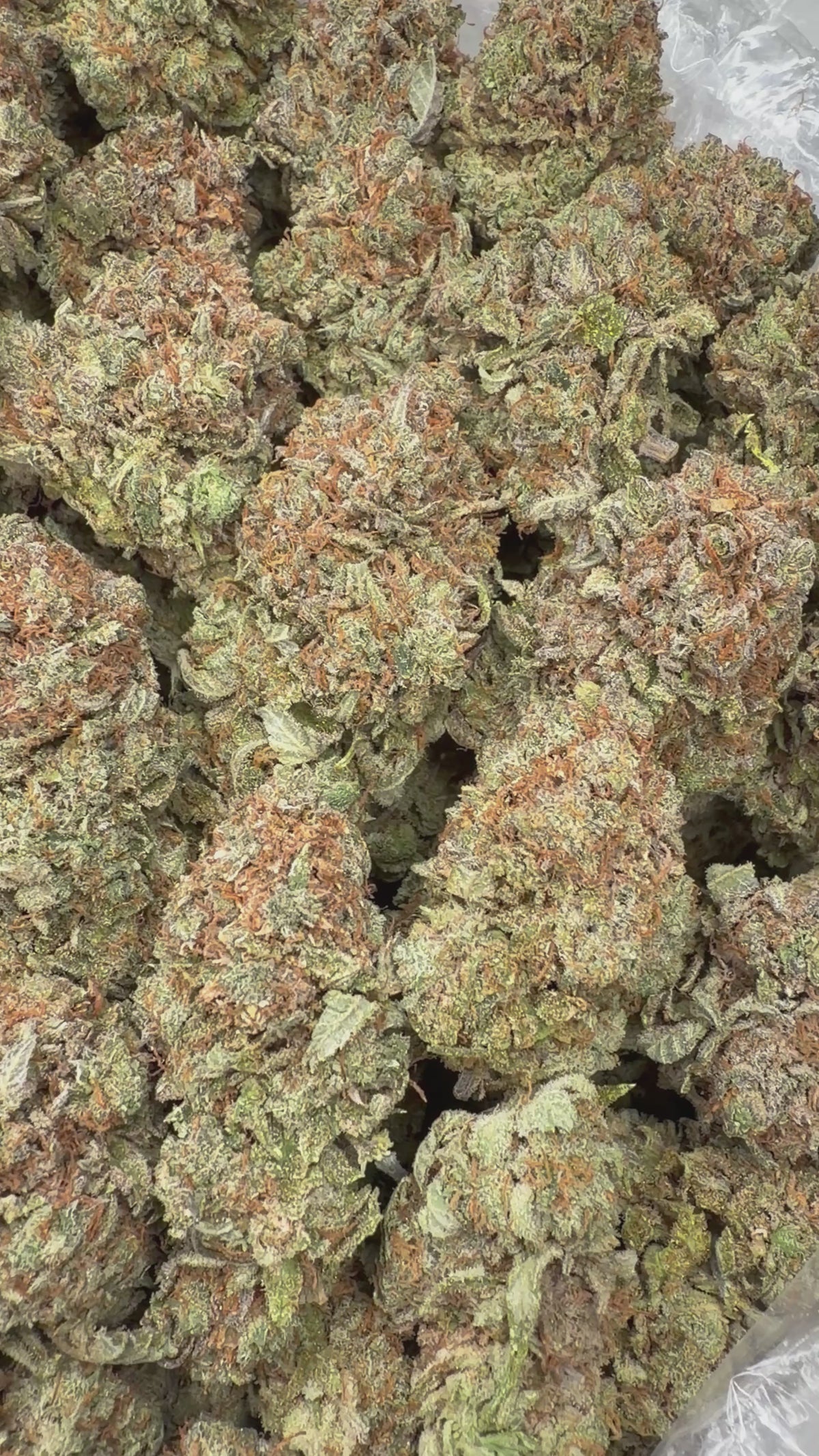 Platinum Bubba - 16oz