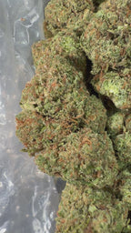Mochilato - 16oz