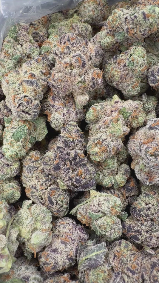 Purple Grape Gas SM/MD - 16oz