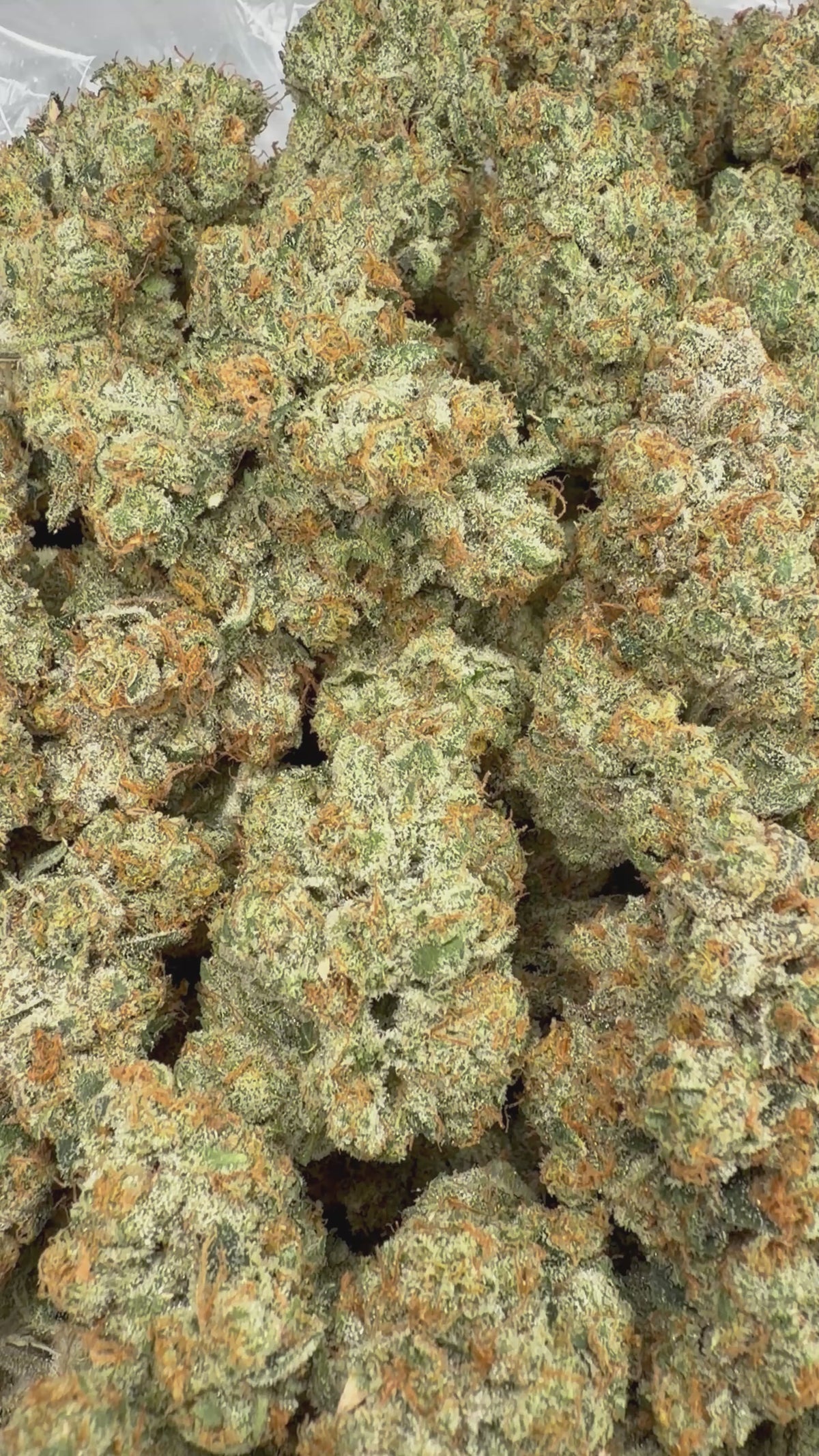 White Fire OG - 7G