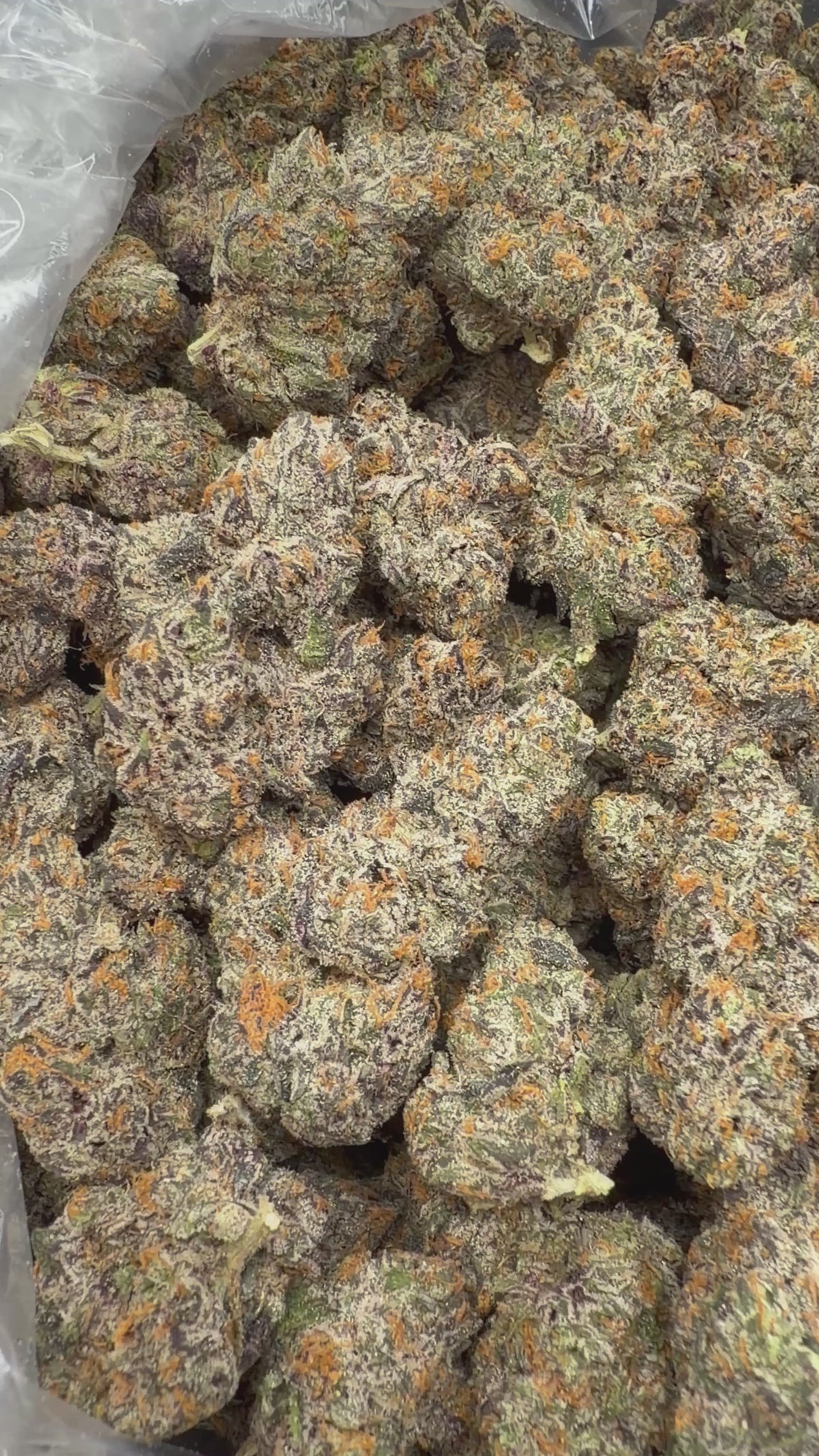 RS-11 - 2oz