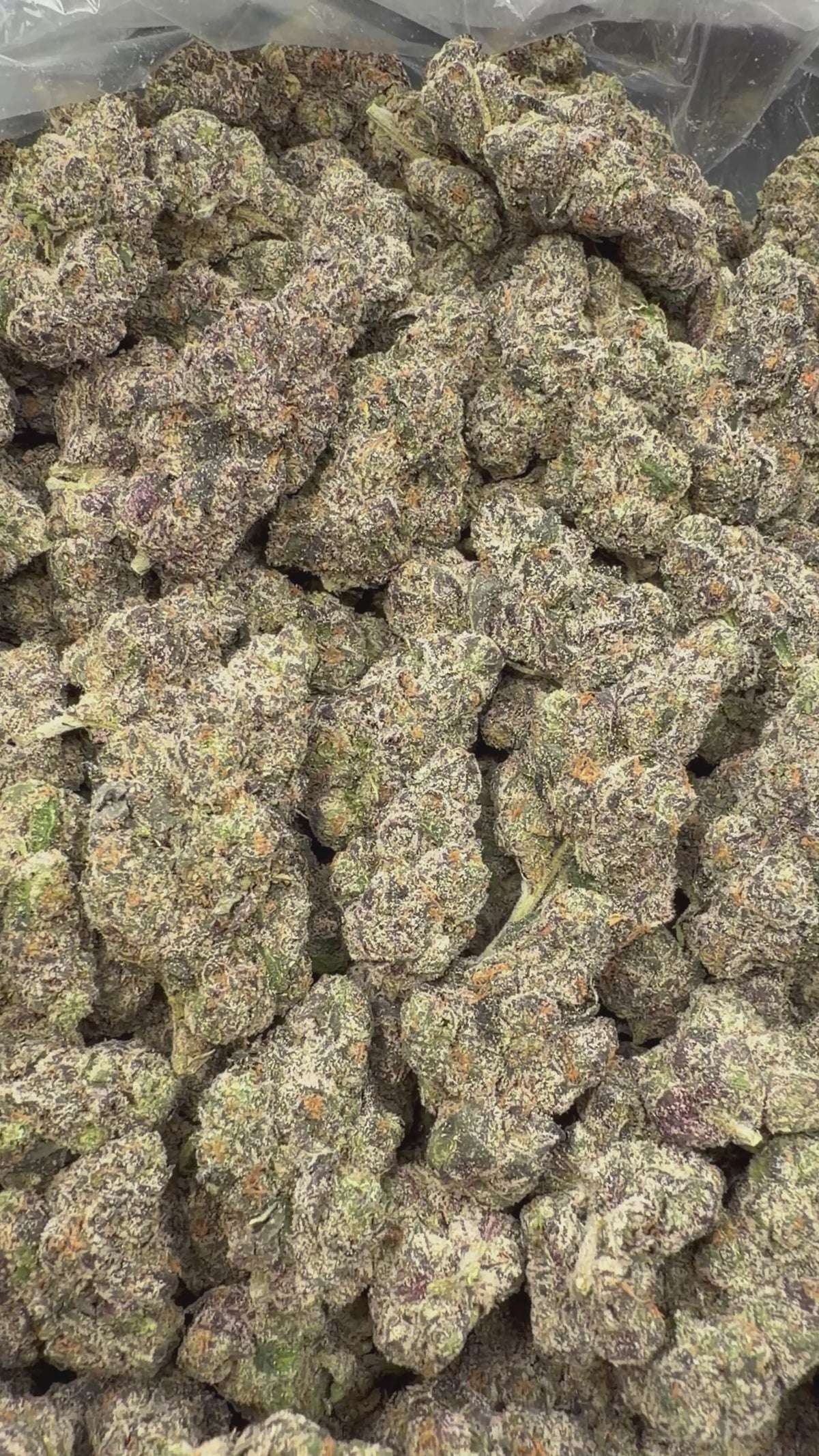 Purple Razzleberry Runtz - 16oz