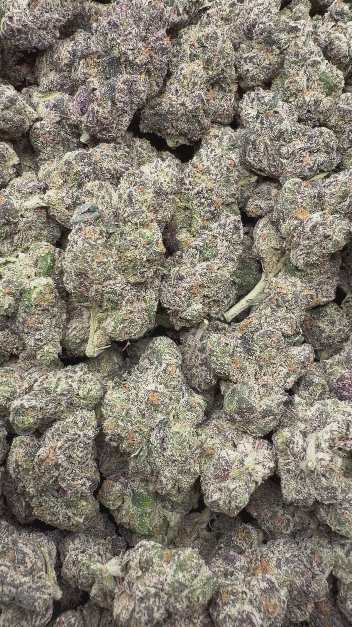 Purple Razzleberry Runtz - 16oz
