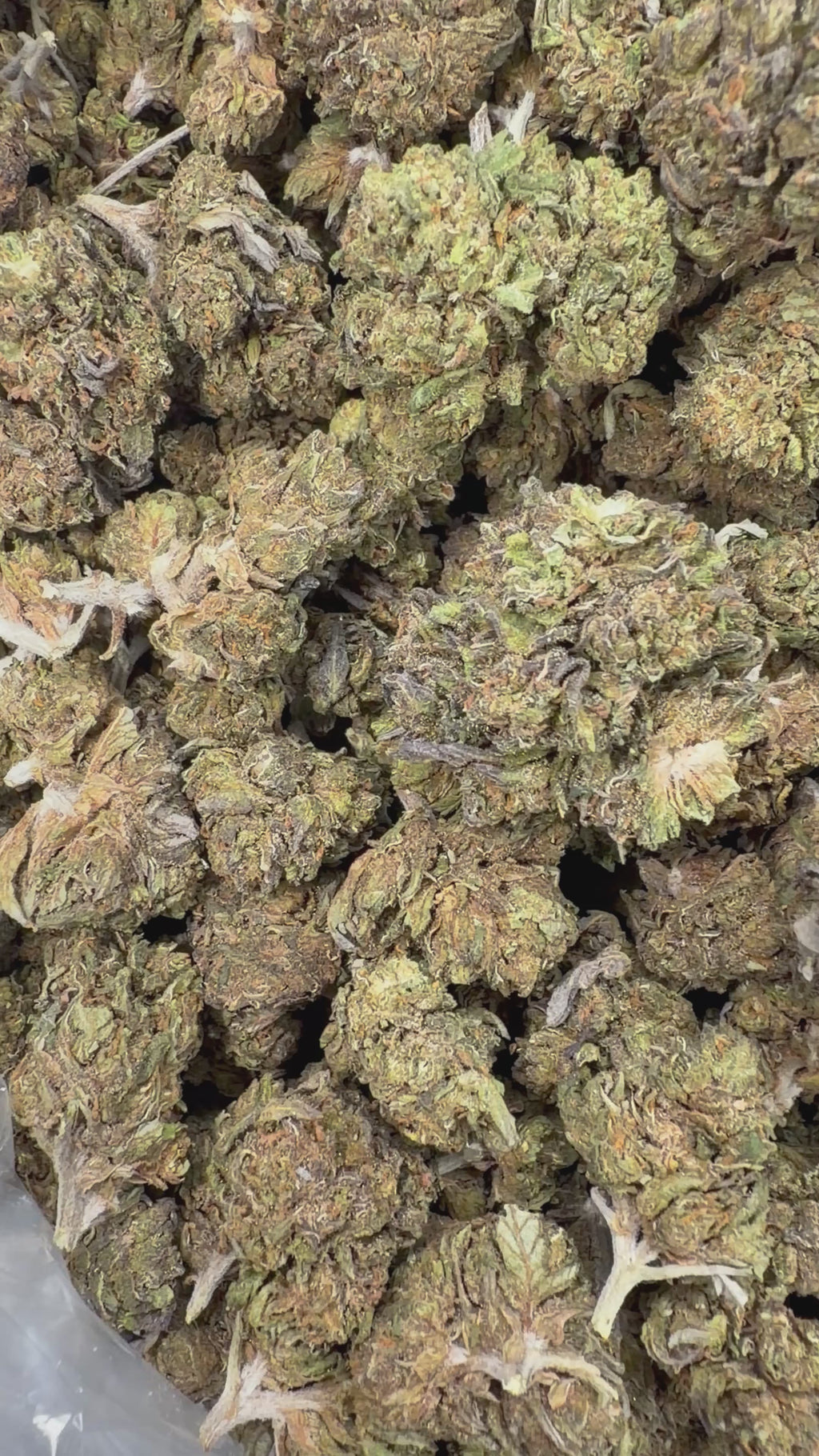 Gelato Cake Smalls - 16oz