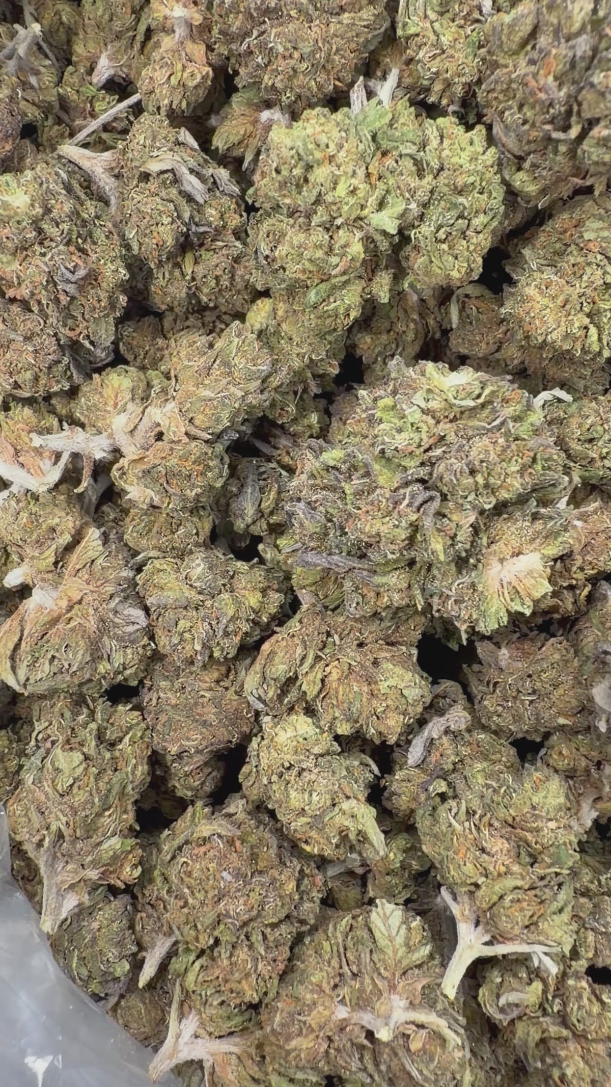 Gelato Cake Smalls - 16oz