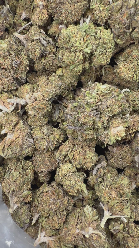 Gelato Cake Smalls - 16oz