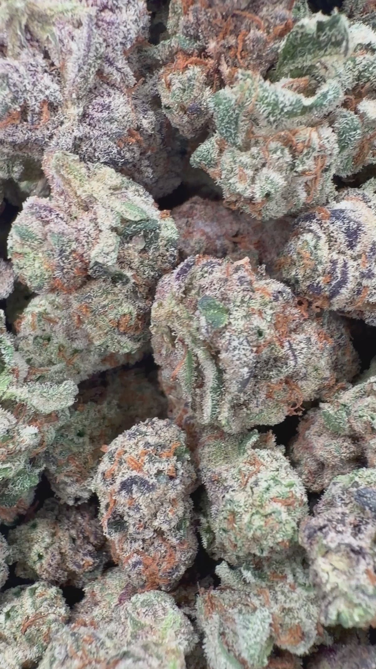 Grape Gas Smalls - 7g