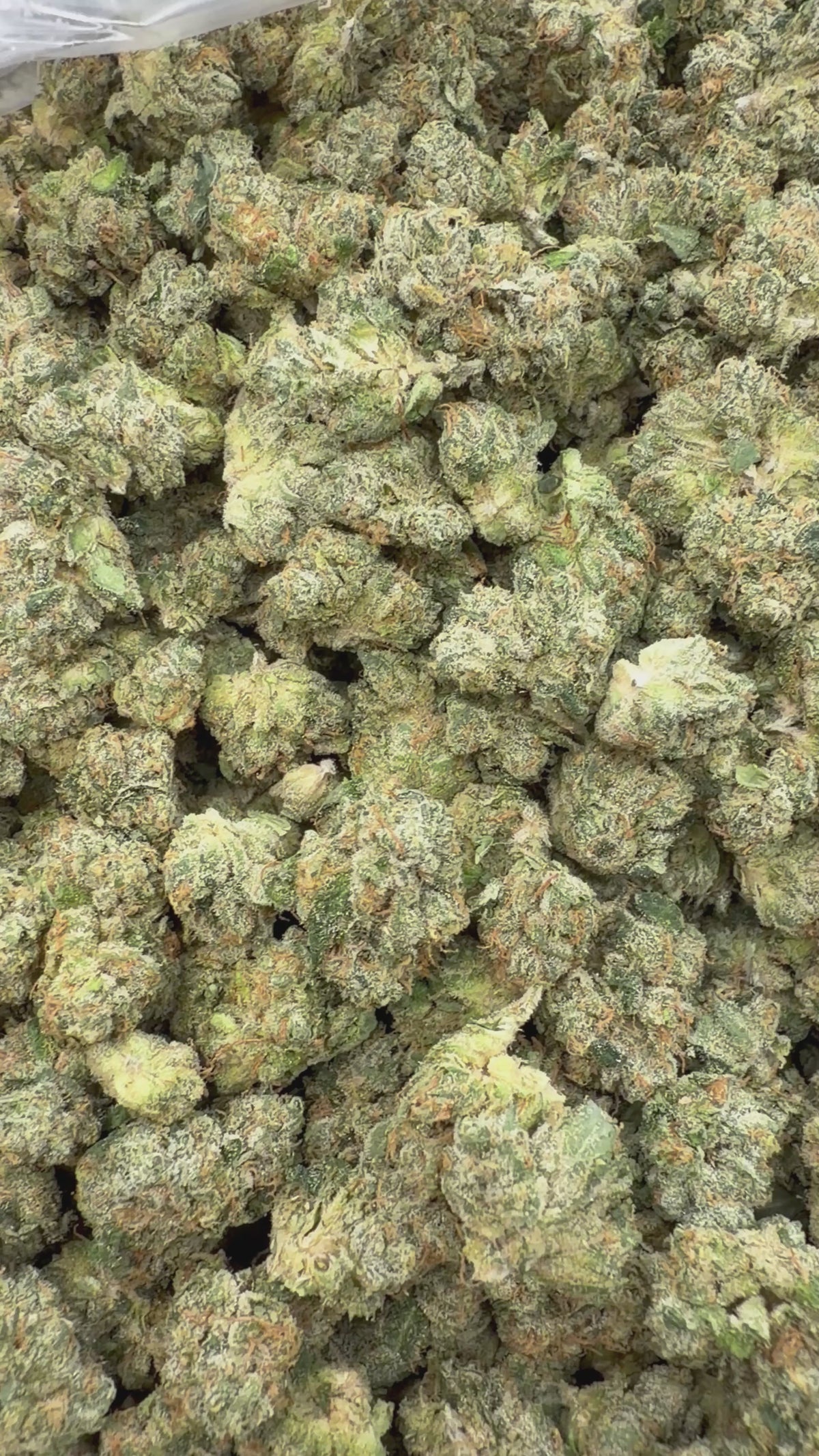 Kami Kush Smalls - 7g