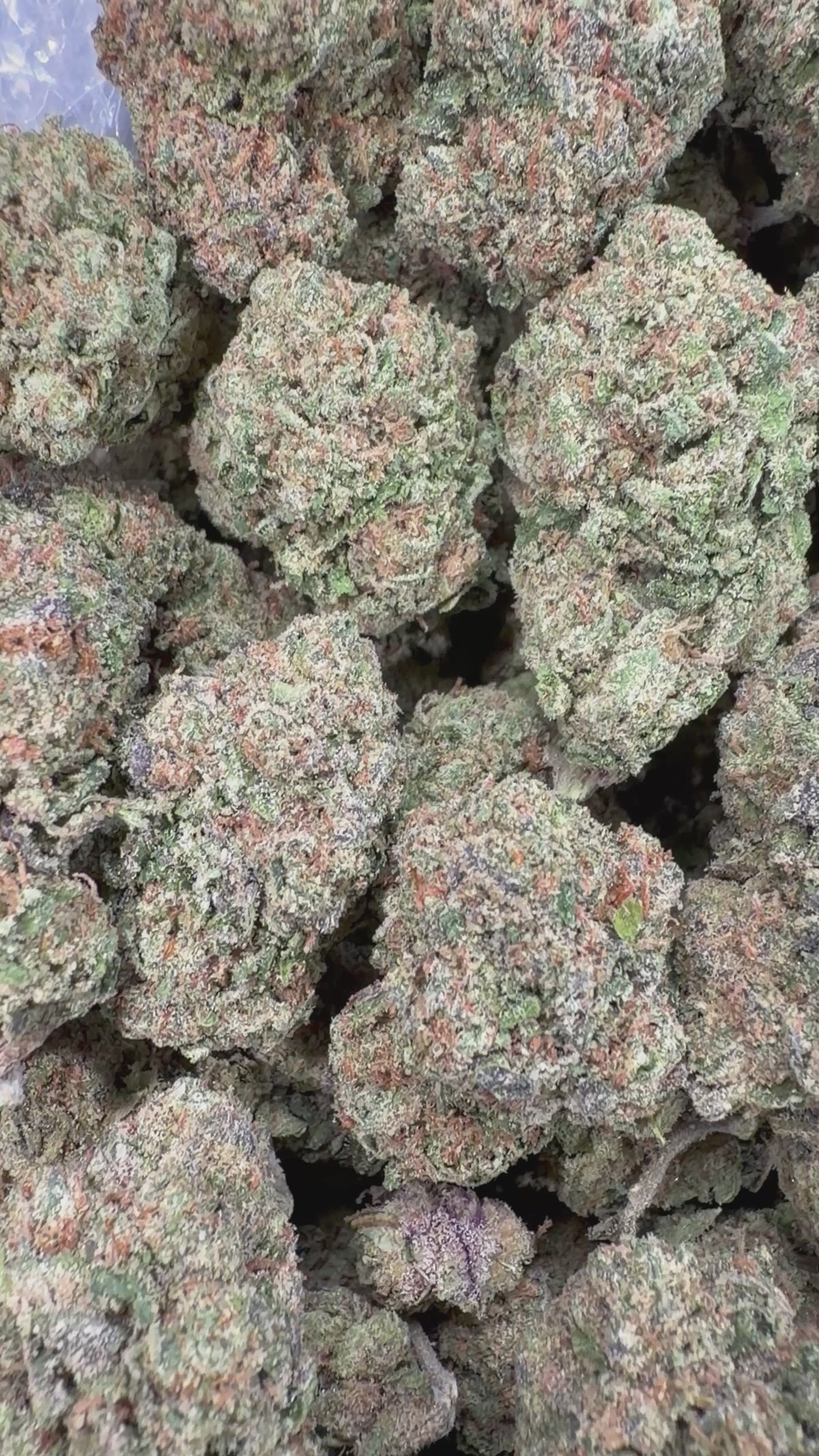 Purple Lemon Cherry Gelato 16oz