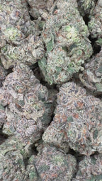 LAPR x PPP 4oz