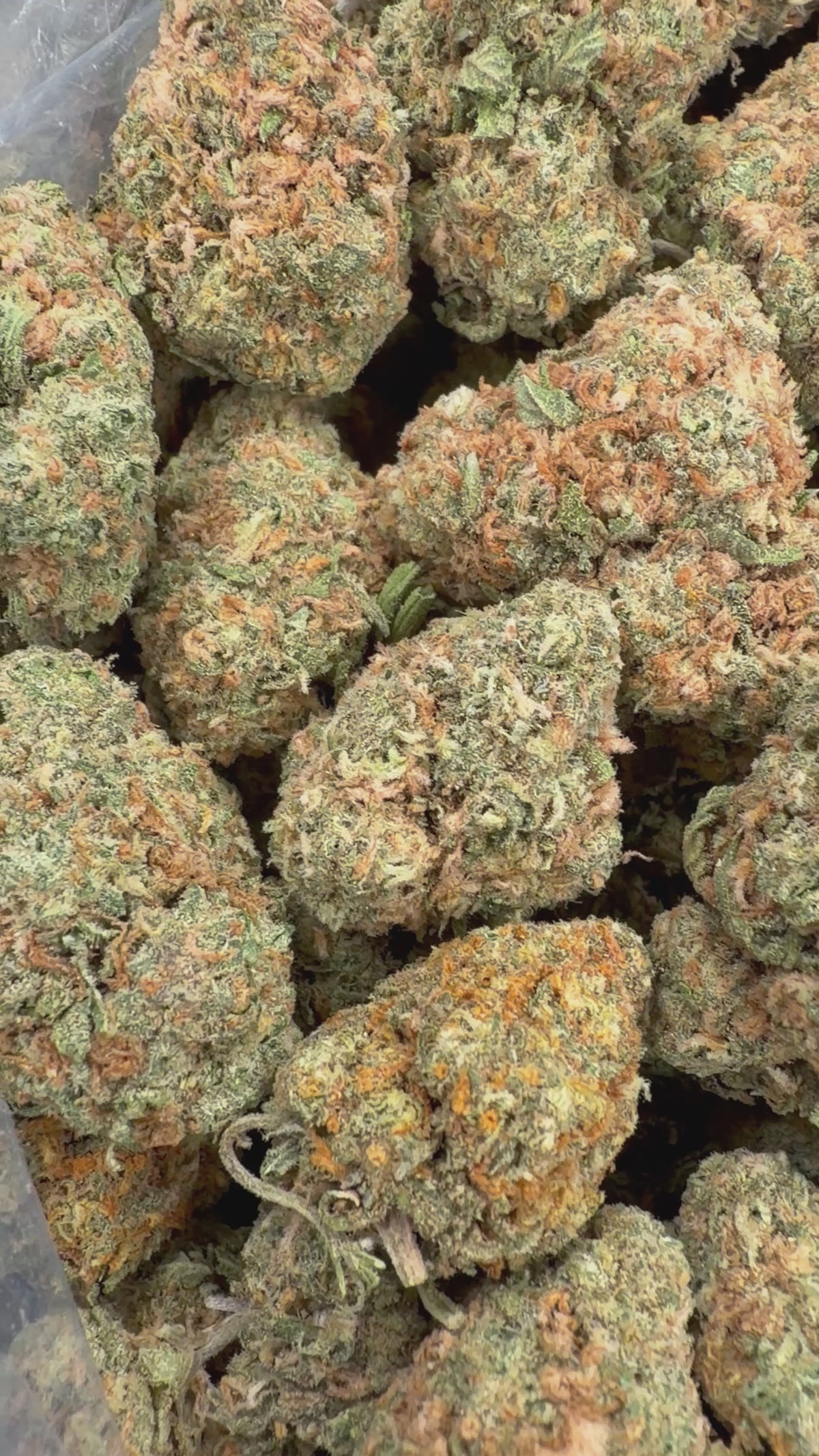 Mango Gelato 16oz