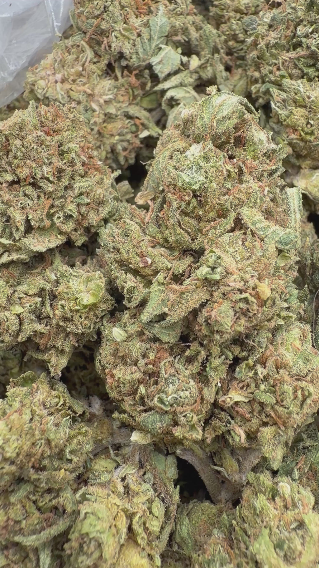 G47 - 16oz