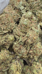 G47 - 16oz
