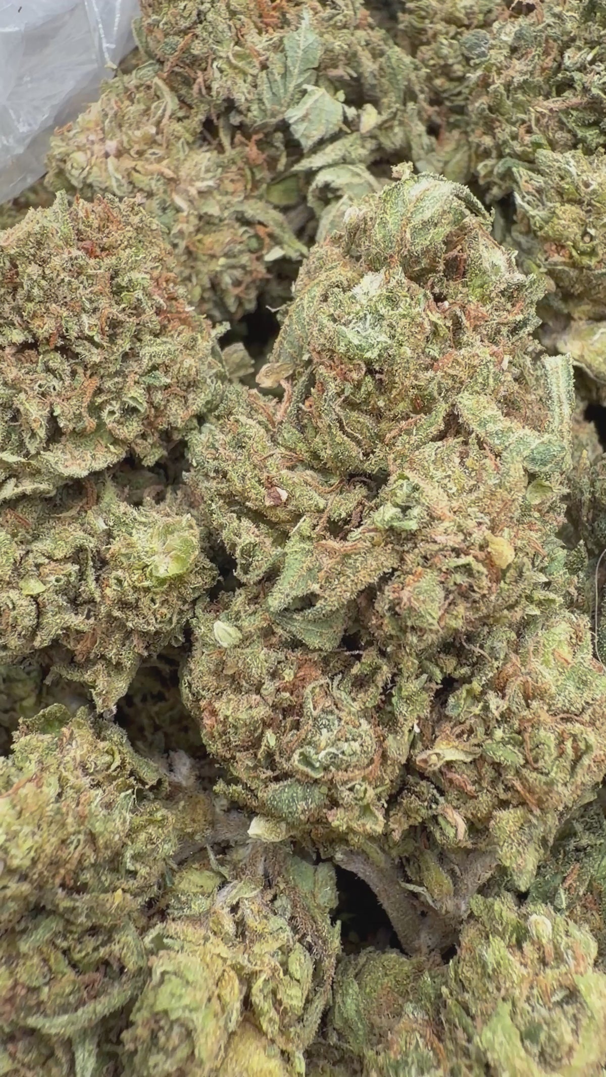G47 - 16oz