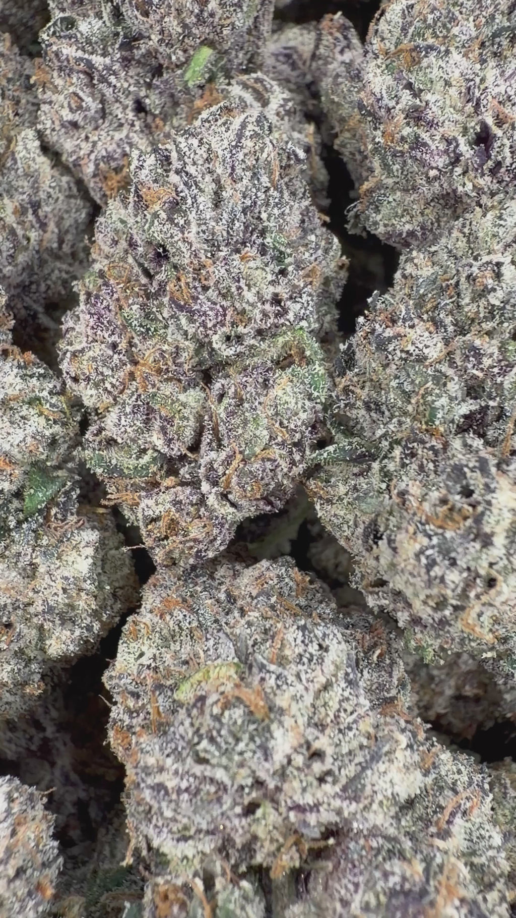 Rainbow Kotton Candy