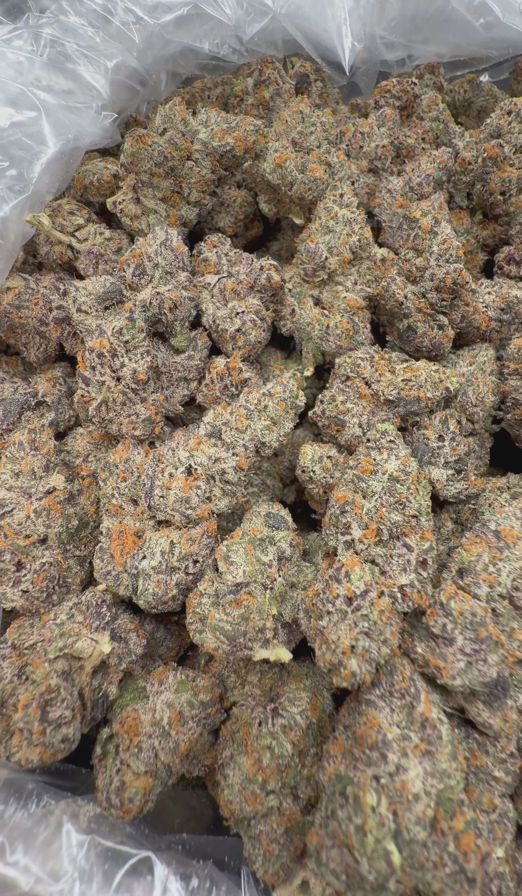 RS-11 - 2oz