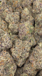 Galactic Runtz 16oz