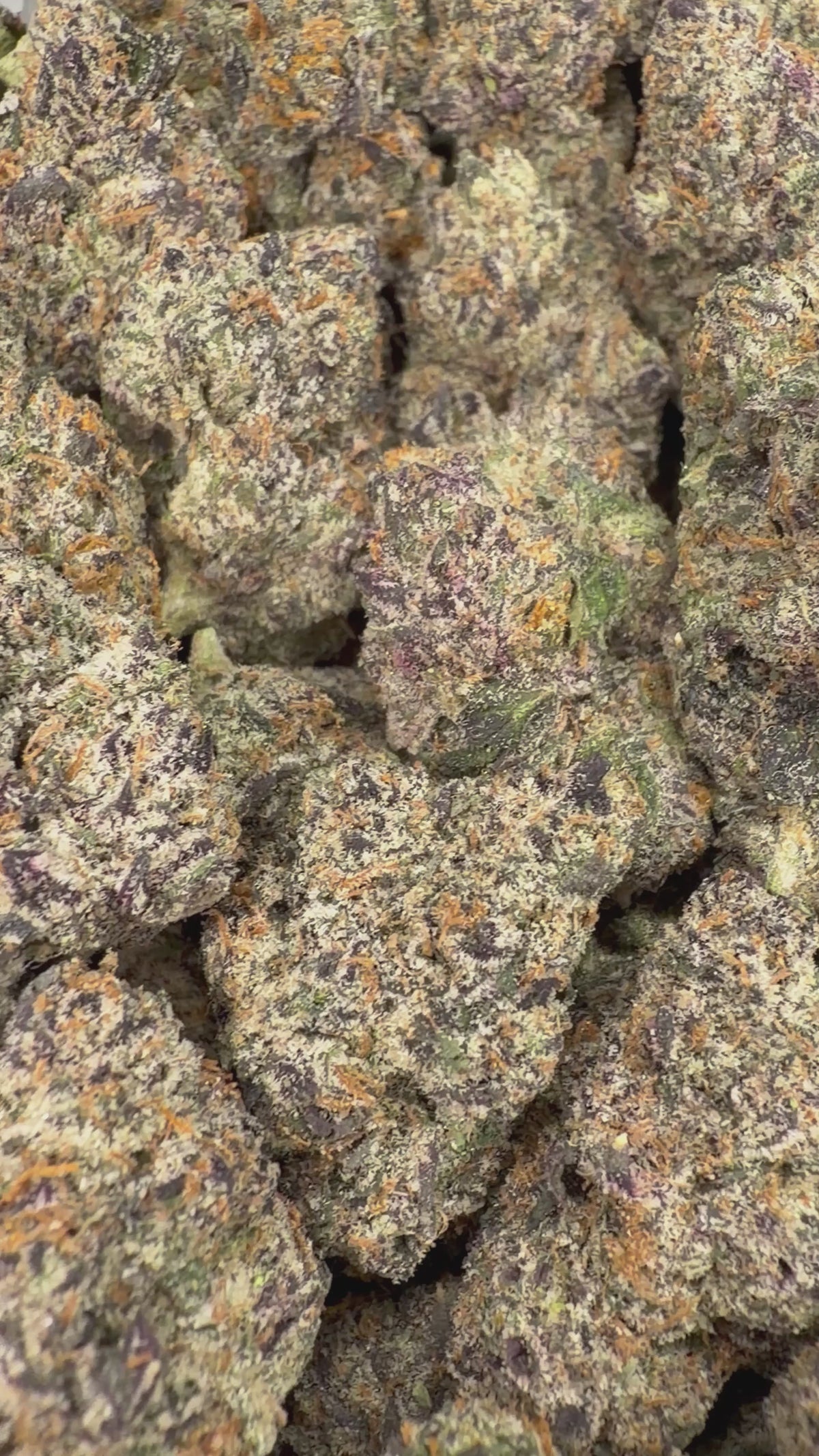 Galactic Runtz 16oz